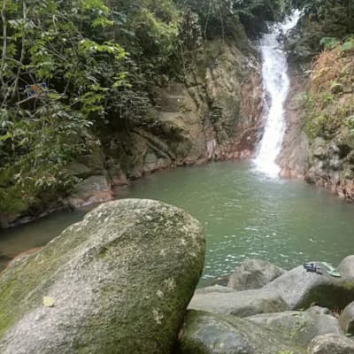 Taka Melor Eco Forest